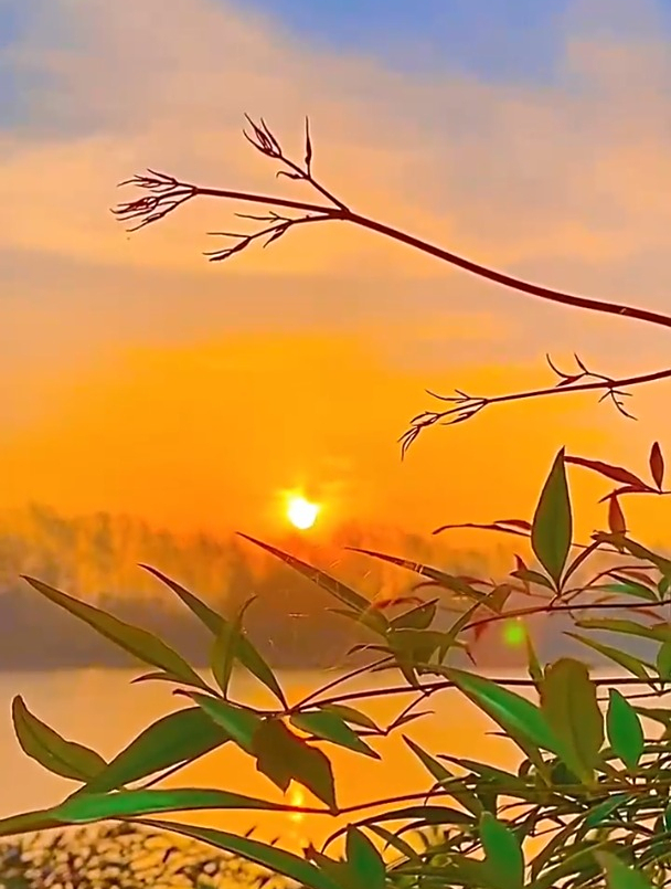 有人说:"那些回忆里的温暖,是继续生活的动力."唯美