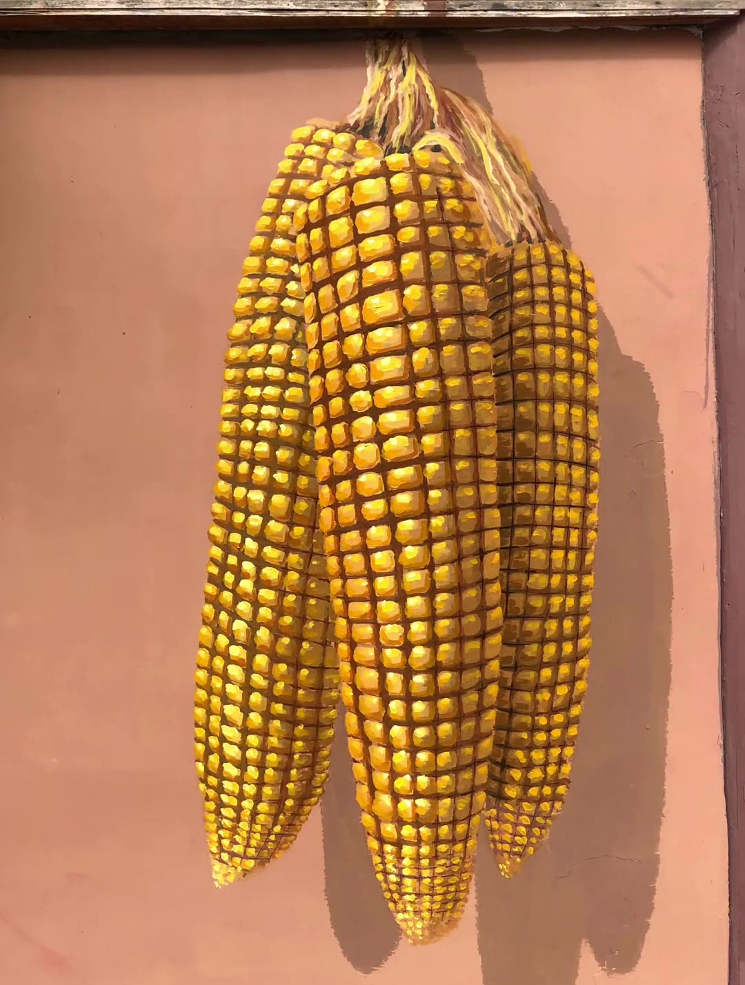 难道这是来自太空的玉米种?-度小视