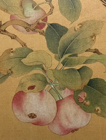 国风古韵临习宋画《果熟来禽图》-度小视