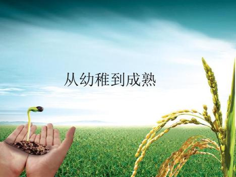 说一说幼稚与成熟