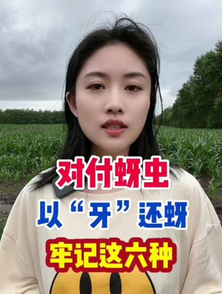 对付蚜虫,以"牙"还蚜,以下这六种效果好-度小视