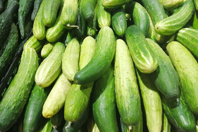 菜瓜是黄瓜吗?菜瓜和黄瓜的区别有哪些?