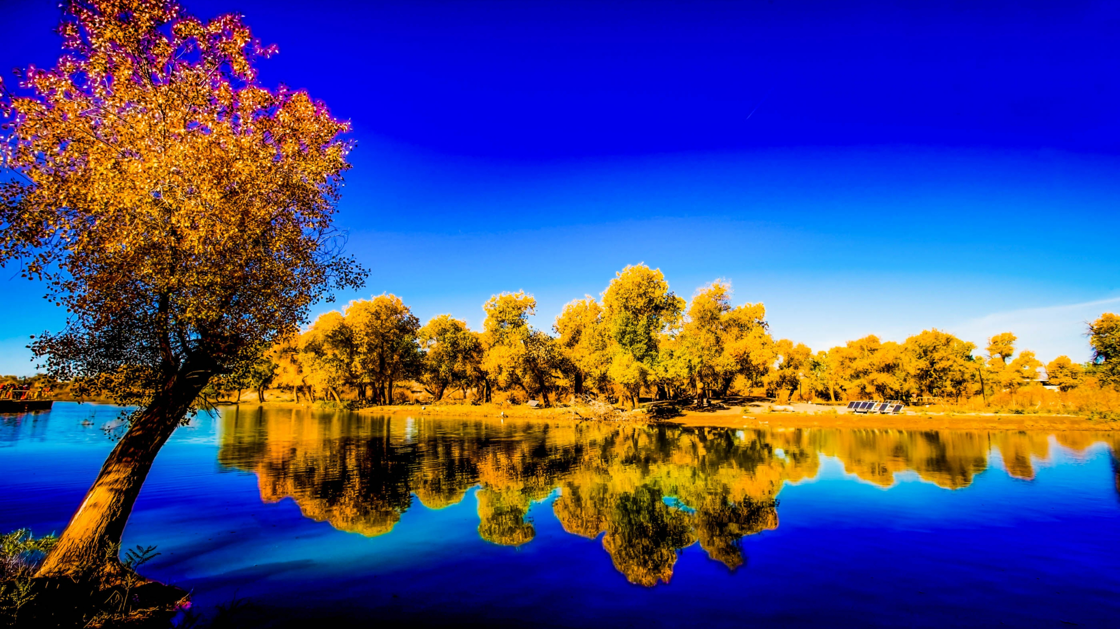 胡杨寓意坚韧不拔,生命力强大,耐得住寂寞和适应力强等积极向上的价值