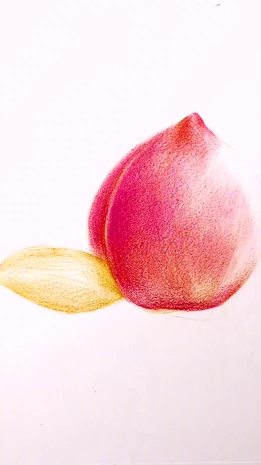 彩铅画,请你们吃桃子