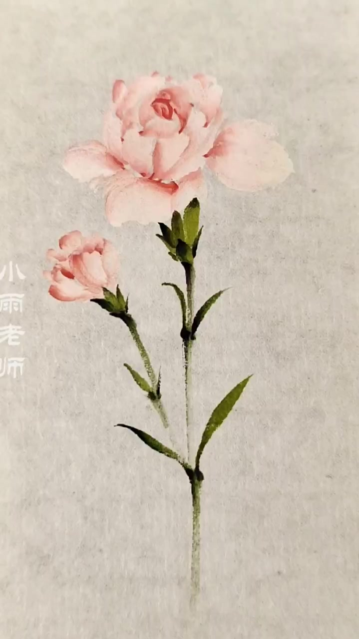 康乃馨,国画教学