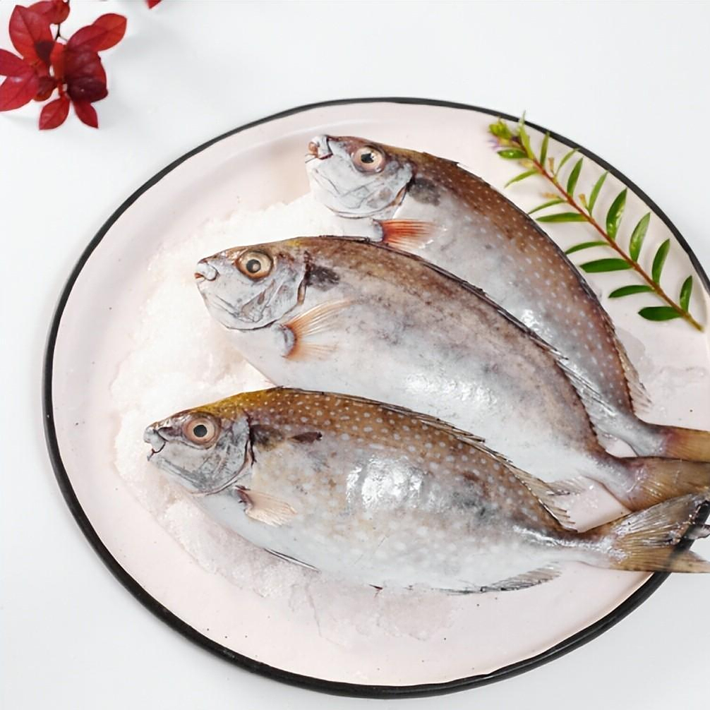 海边常见的泥猛鱼腹内有臭味无人食用如今为何60元1斤
