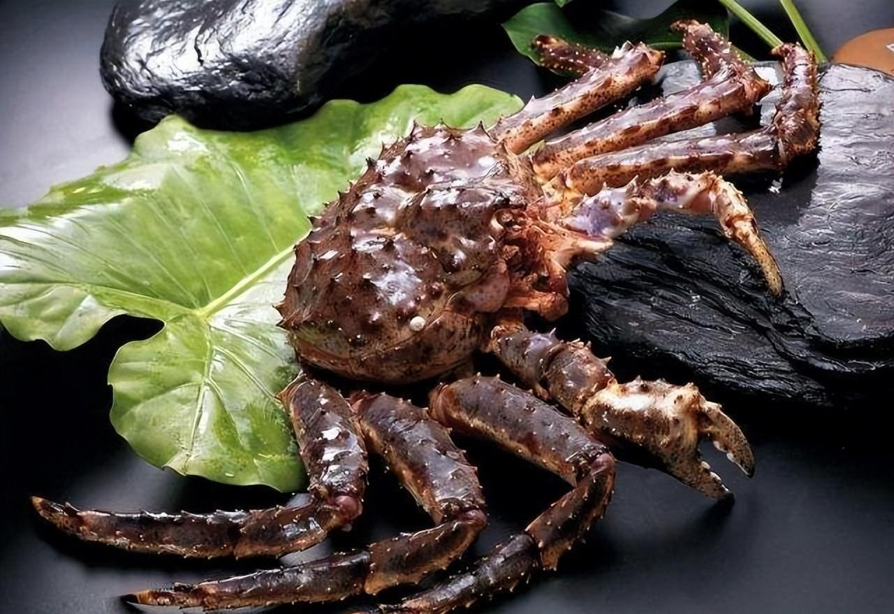 "生态杀手"帝王蟹,入侵南极泛滥成灾,为何价格仍如此昂贵