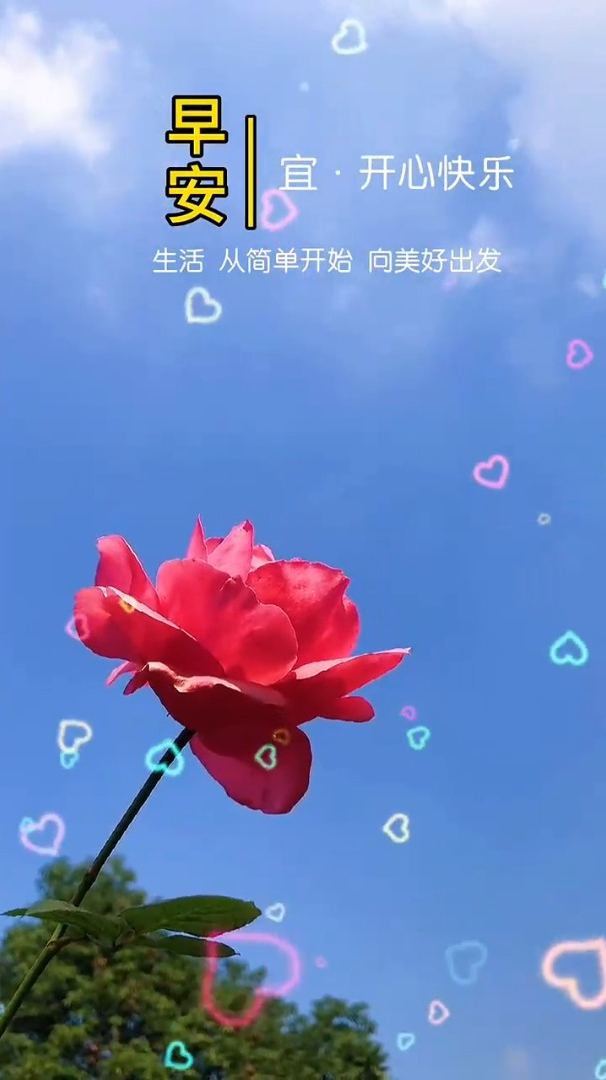 娱乐治愈风景:生活,从简单开始,向美好出发早安