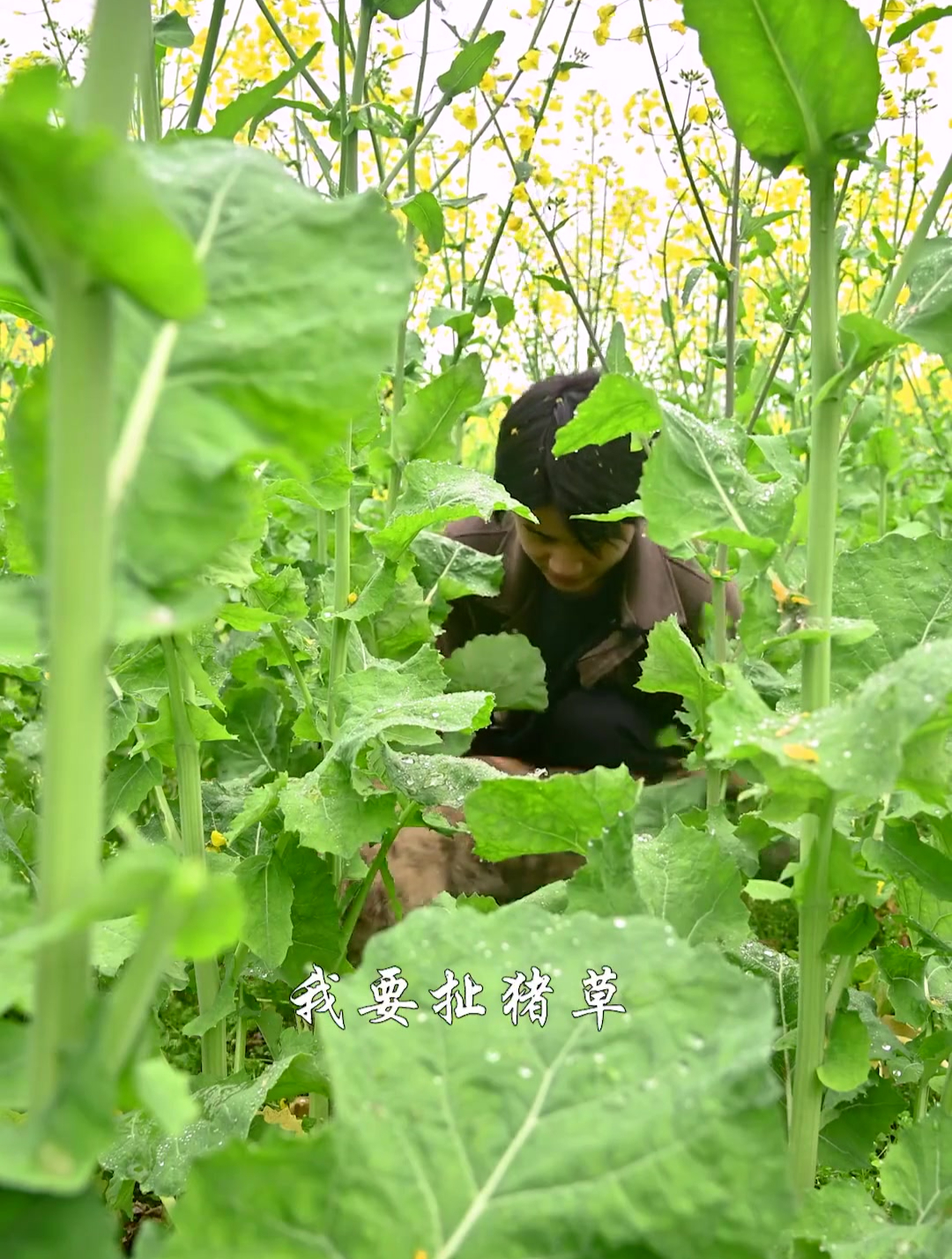 东毛自从相亲过后感觉变勤快了好多还让我教他做菜