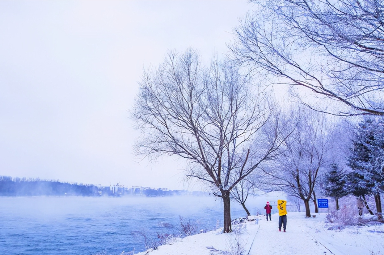 吉林松花江畔有一座"小雾凇岛",雪后风景如画,吸引了众多游客