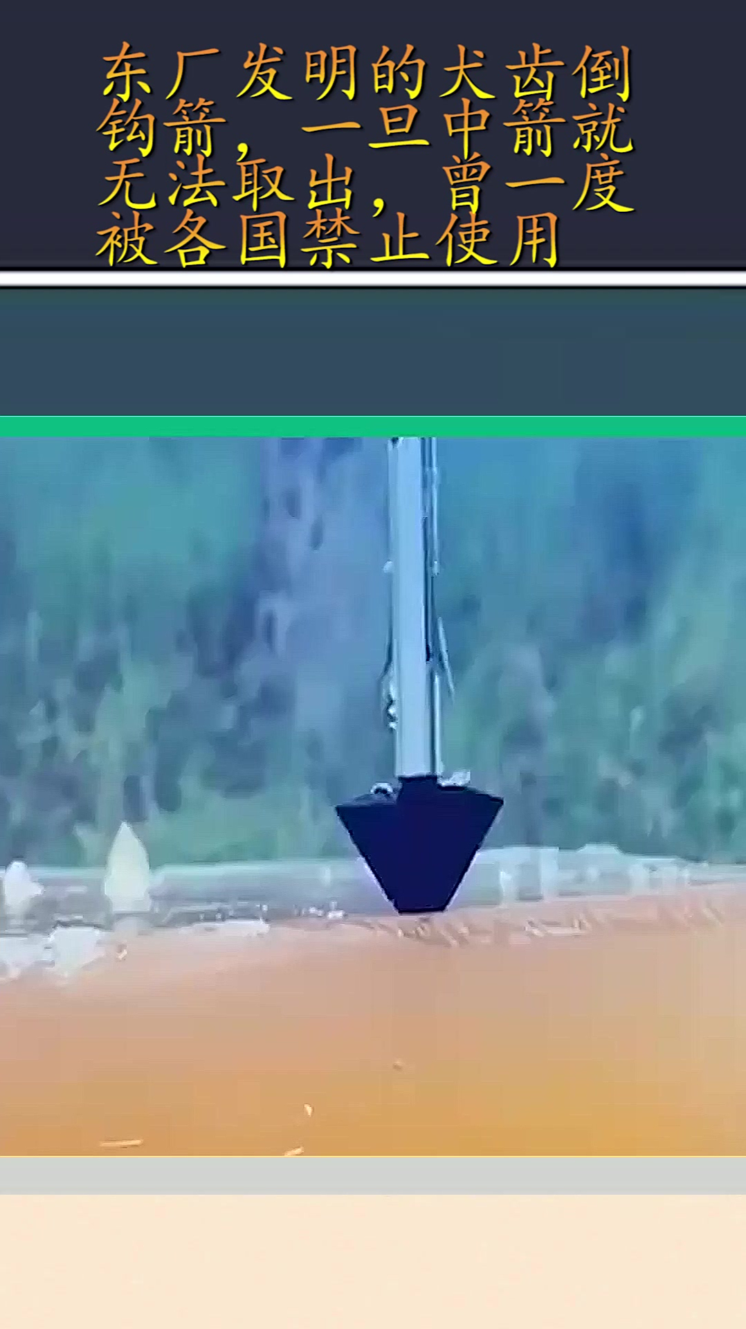 东厂发明的犬齿倒钩箭,一旦中箭无法取出,曾一度被各国禁止使用