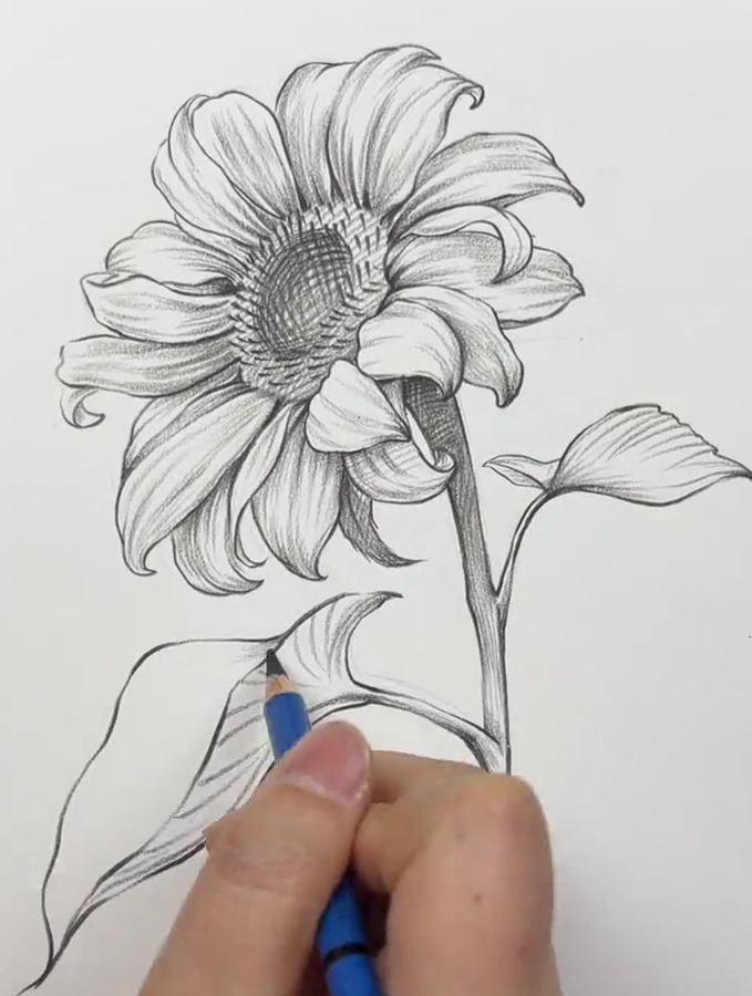 春日暖阳里画一朵太阳花愿你心花路放,满是希望!