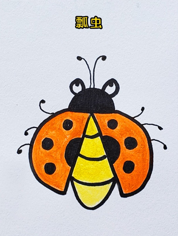 甲虫怎么画 简单图片