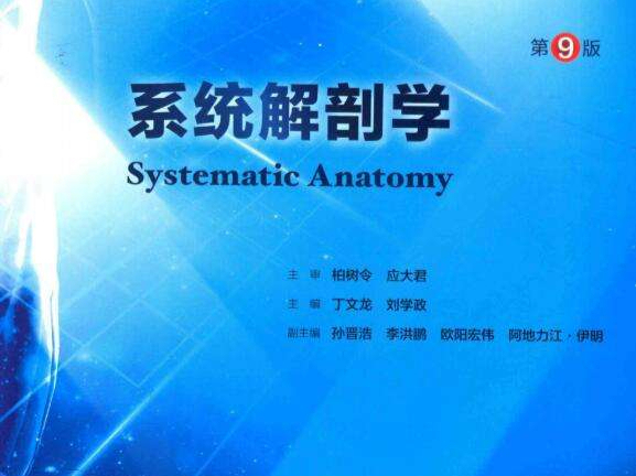 系统解剖学部分知识点总结