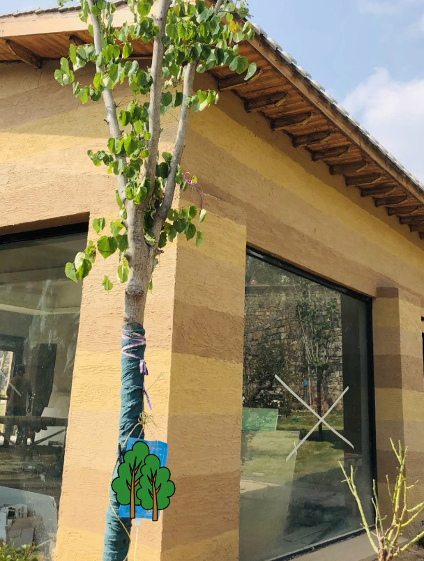 一些风景,入心,便是美丽,彩色夯土墙,一墙一房皆是风景!