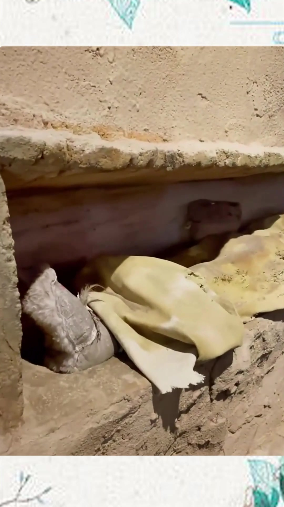 新疆发掘出的一具女性干尸虽然经历了四千年面部笑容清晰可见