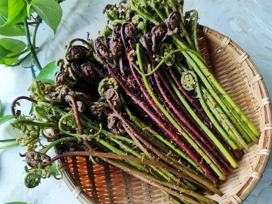 现在人也爱吃…… 蕨菜,东北林区最常见的一种蕨类野菜, 价格实惠
