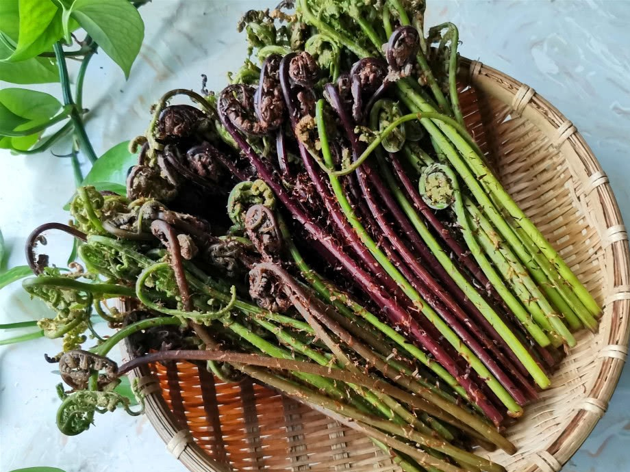 盘点东北人挚爱的野菜!不知道你吃过几种?现在买真不便宜