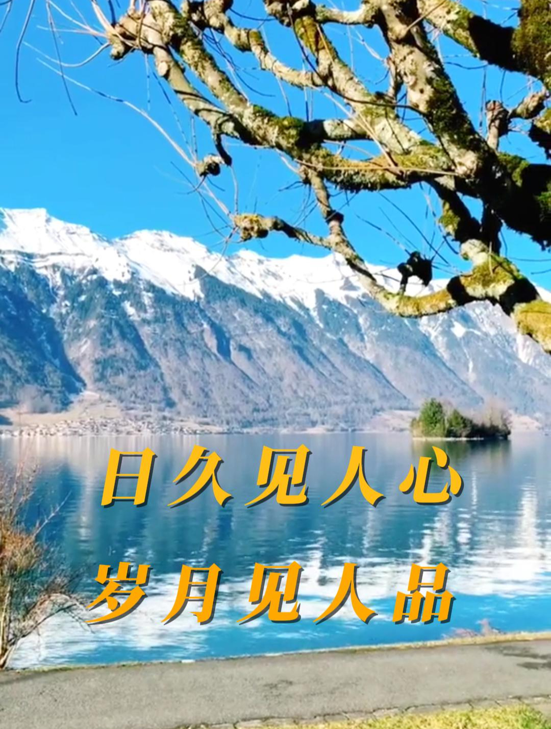 日久见人心,岁月见人品