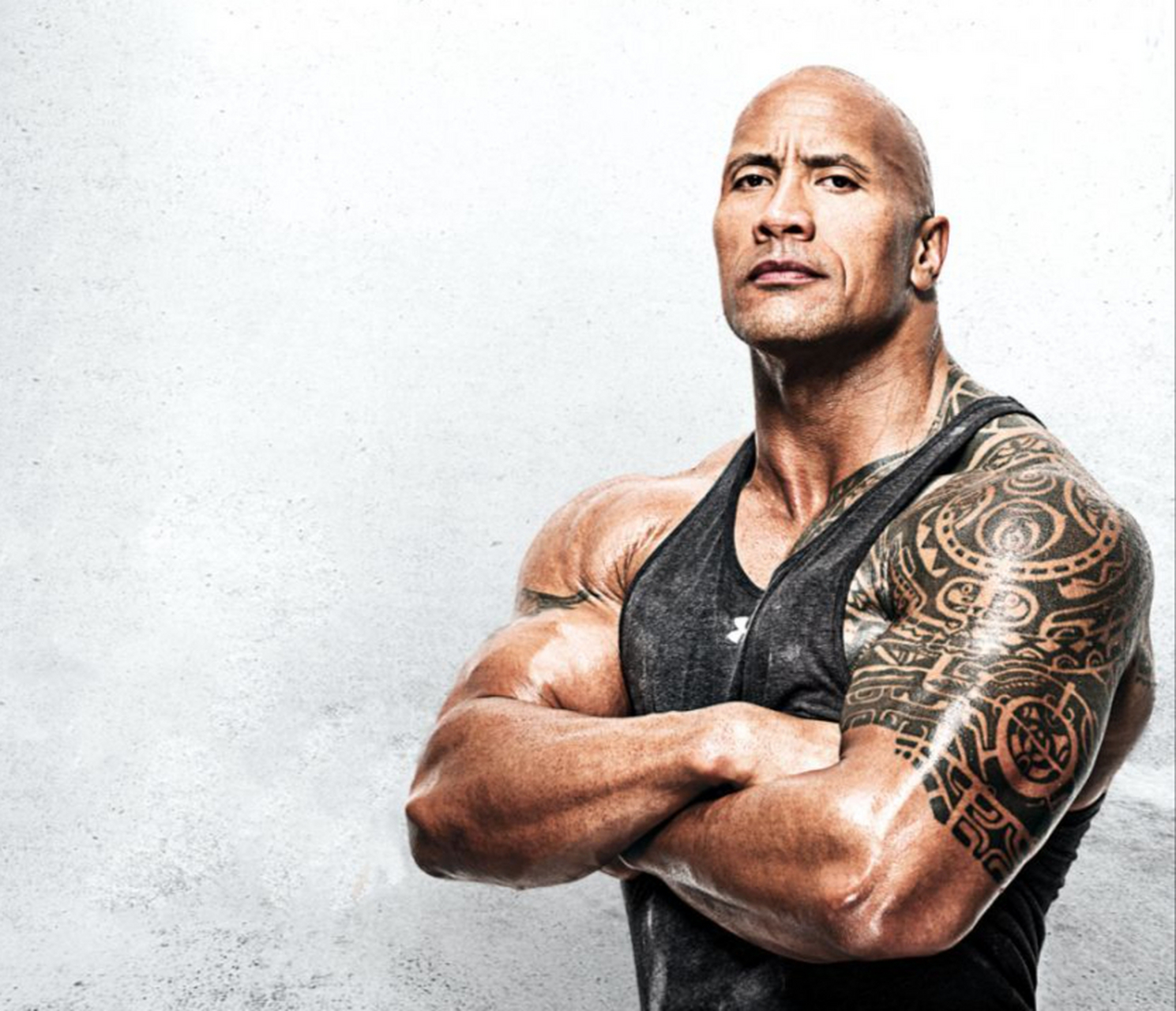 中文名:道恩·强森 英文名:dwayne douglas johnson 别名:巨石强森