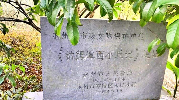 柳宗元《钴鉧潭西小丘记》译文(芰荷版)