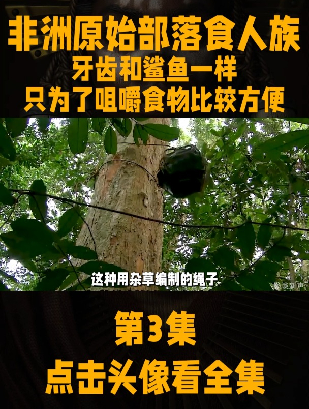 非洲原始部落食人族,牙齿和鲨鱼一样,只为咀嚼食物方便