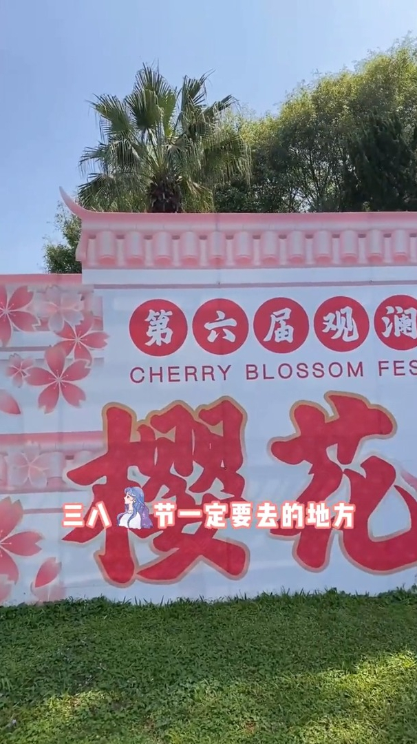 观澜湖樱花节一个超美的地方-度小视