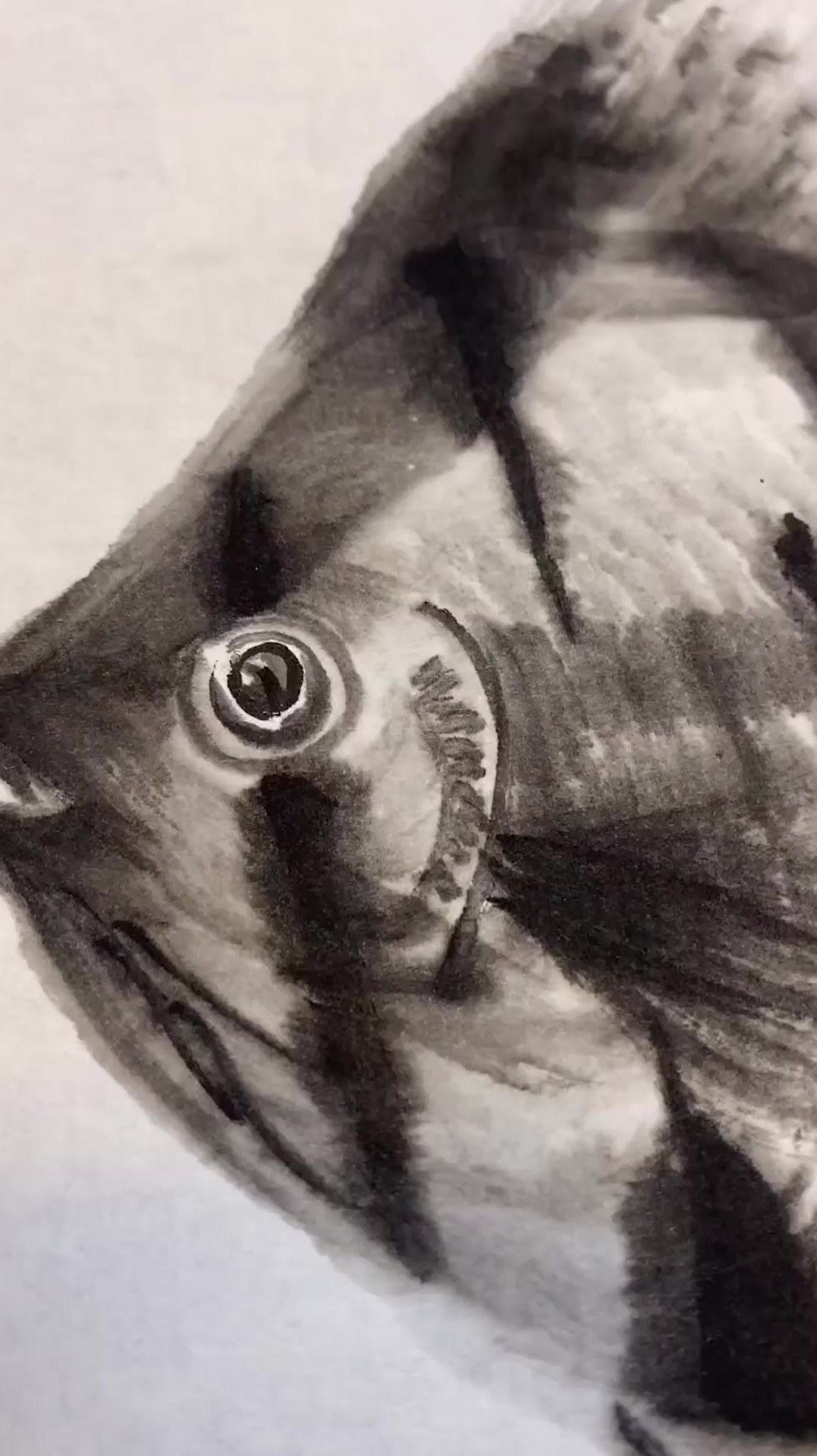 大胆落笔,小心收拾,画鱼眼要提神