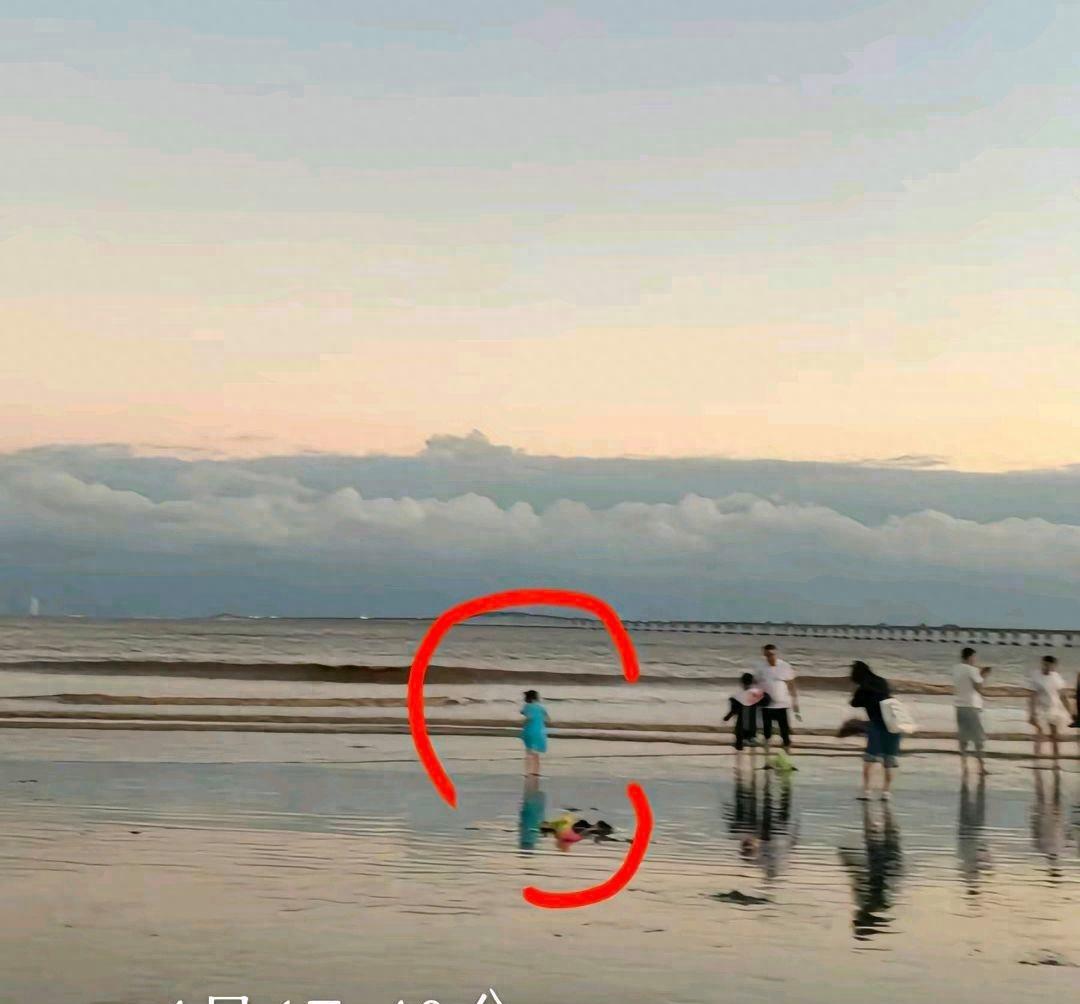 上海警方：海滩失踪4岁女童遗体找到，在宁波市镇海区某滩涂发现，符合溺水死亡特征，排除刑事案件- 新闻频道 -华龙网