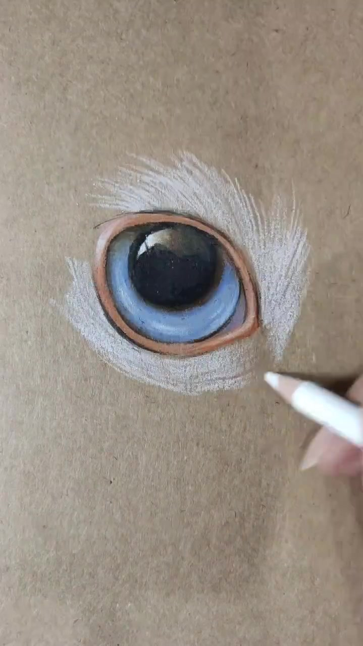 彩铅猫眼教程,超级简单