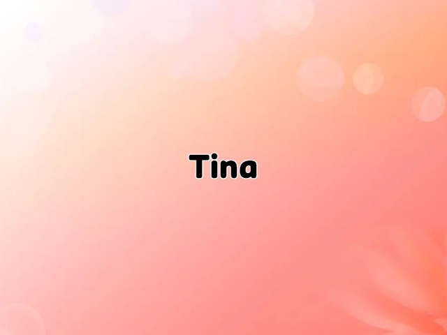 tina英文名寓意及意思
