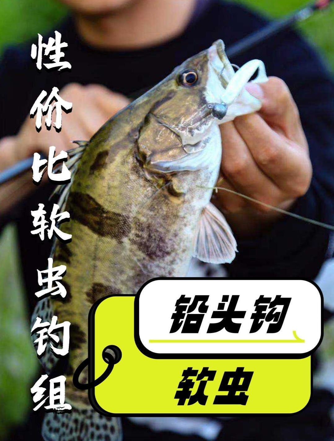 路亚常用钓组,高性价比铅头钩软虫钓组绑法演示-度小视