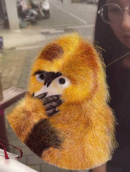 苏绣独创最高技艺针法——双面三异绣(异形,异色,异针)-度小视