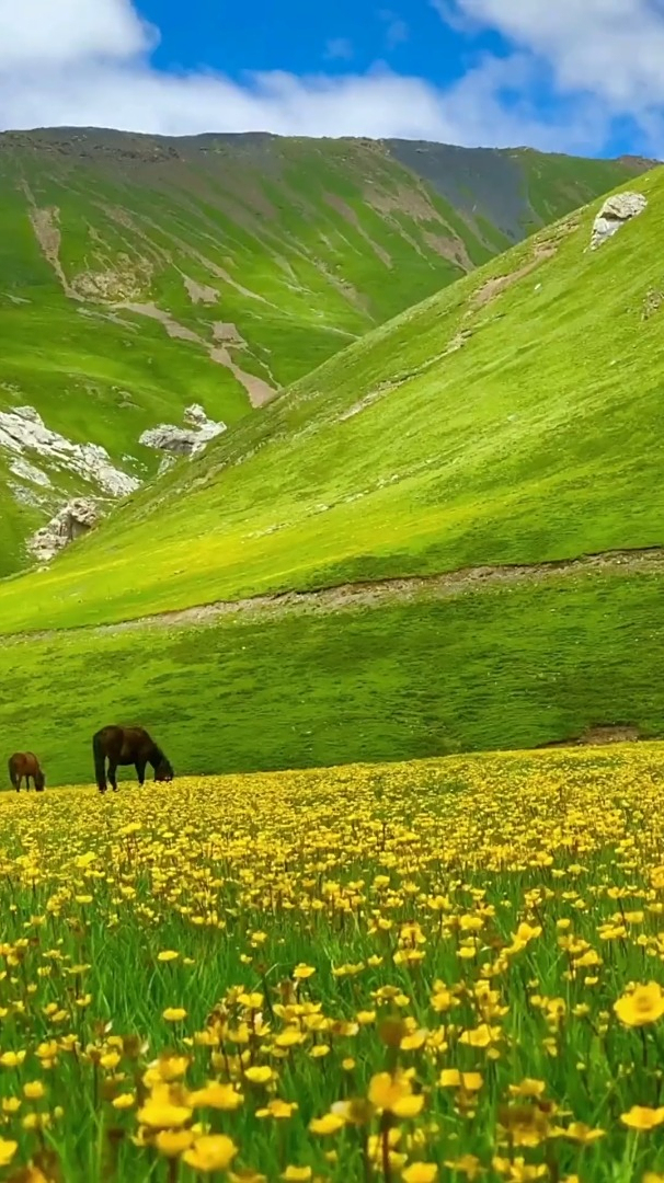 青藏高原自然美景
