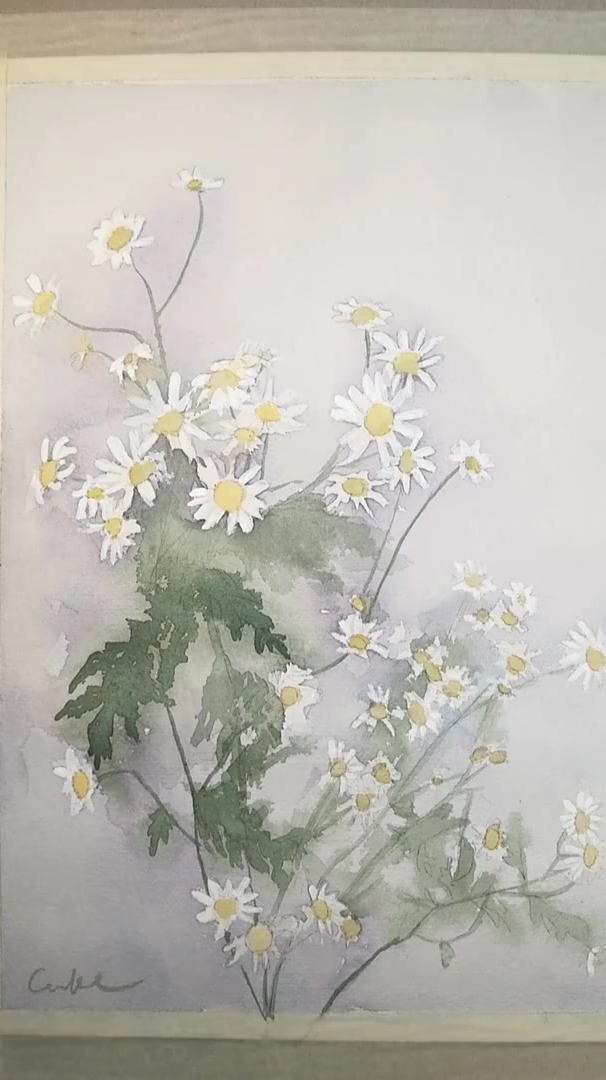 水彩教程,花卉篇之淡雅如菊-度小视