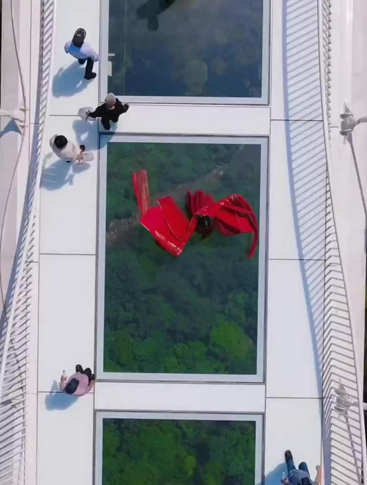 张家界大峡谷景区玻璃桥!恐高的人根本不敢上去!