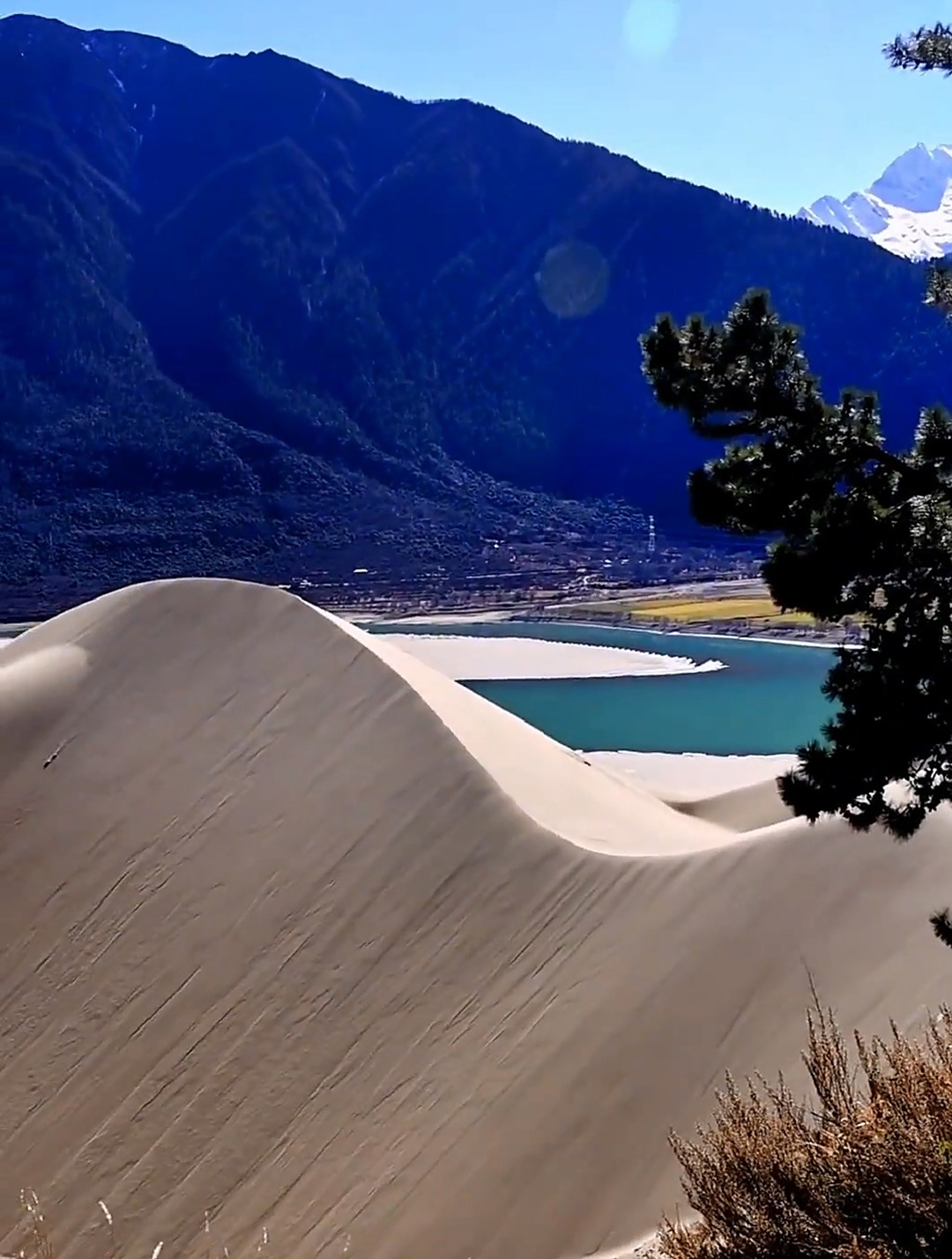 神奇的丹娘佛掌沙丘:雪山江河沙漠居然能同窗!-度小视