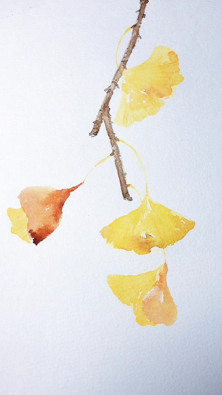 银杏的水彩教程来了