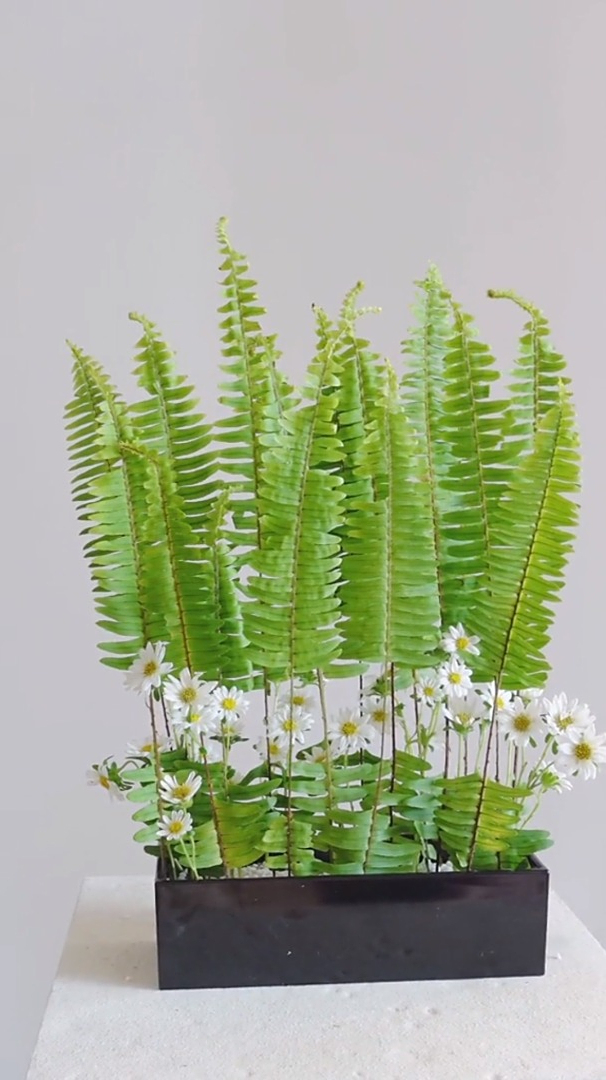 排草开小窗小花探出头插花教程