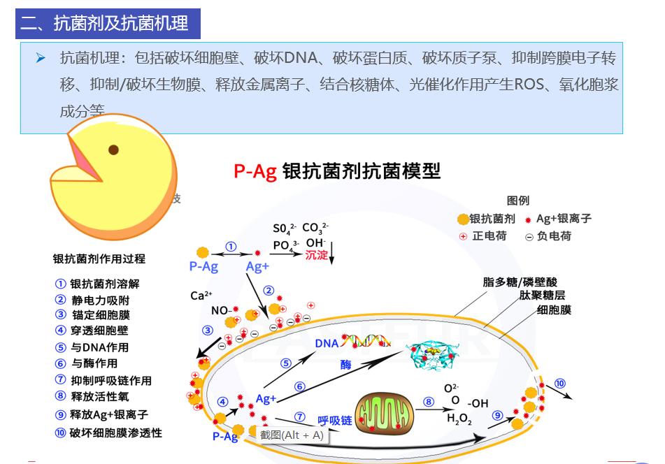 银离子的作用图片