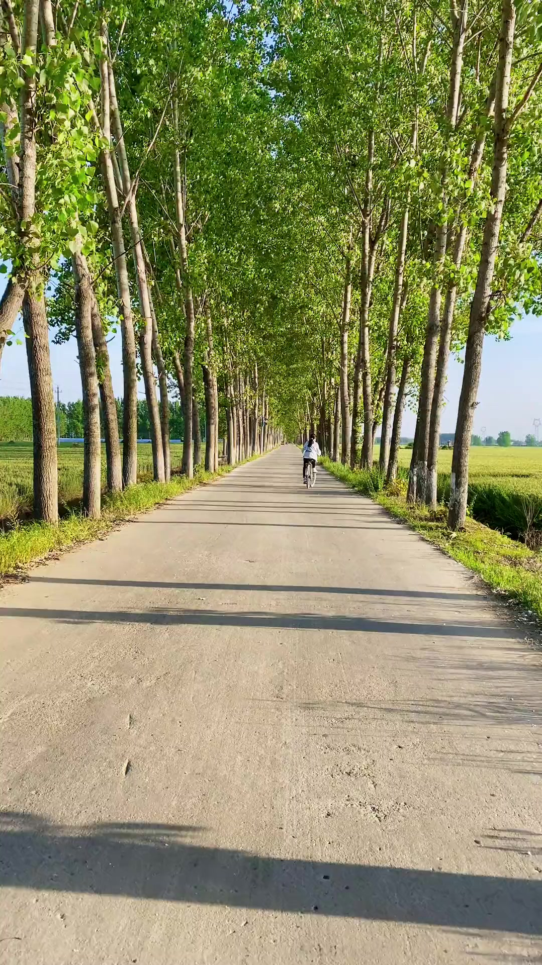 走在老家的乡间小路上,看哪条路都像通往自己家的路