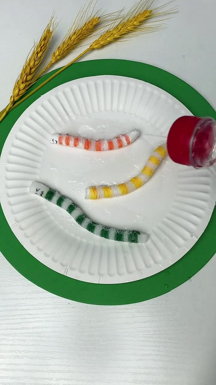 卫生纸做会动的毛毛虫太开心啦