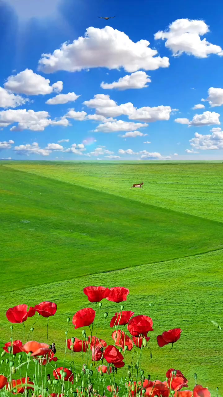 你说喜欢蓝天,白云,绿草地,来我这里都有了,还喜欢啥?-度小视