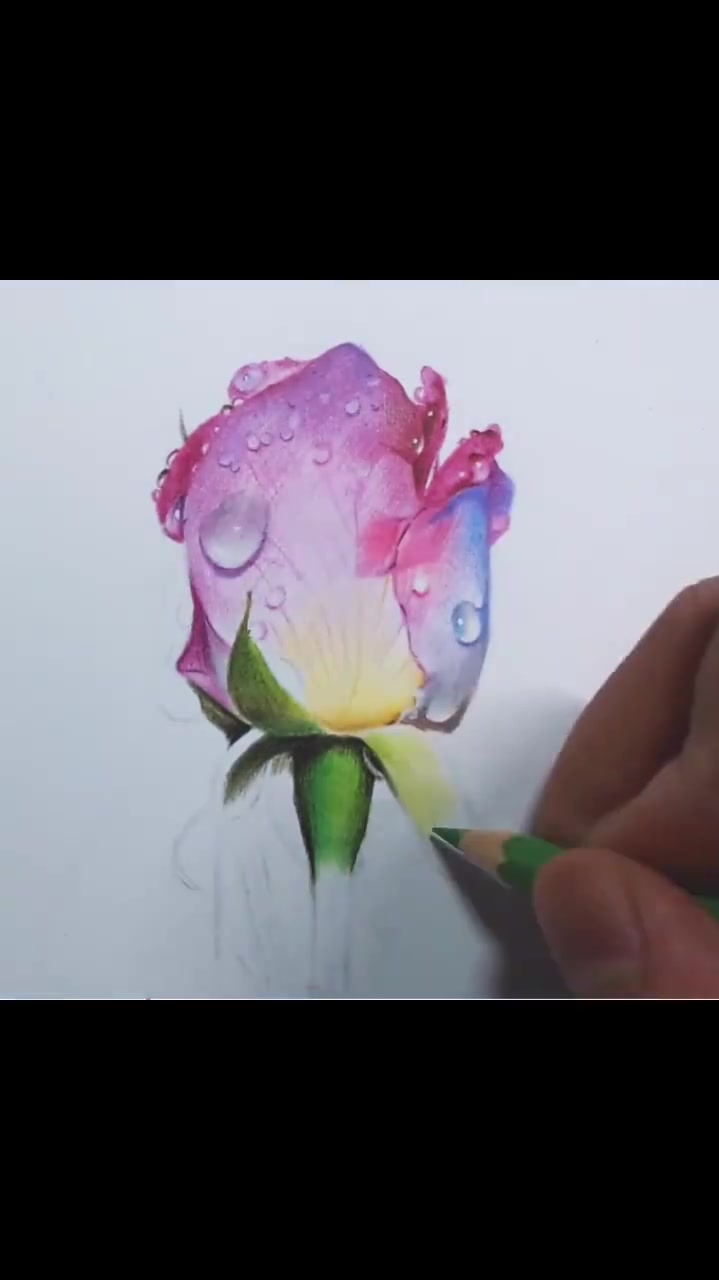 彩铅画,水滴玫瑰辉柏嘉48色水溶性彩铅-度小视