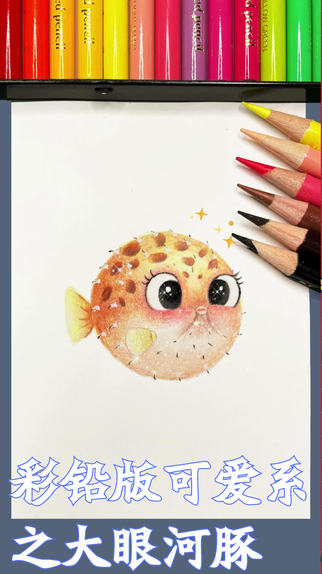 彩铅版可爱系之大眼河豚来啦