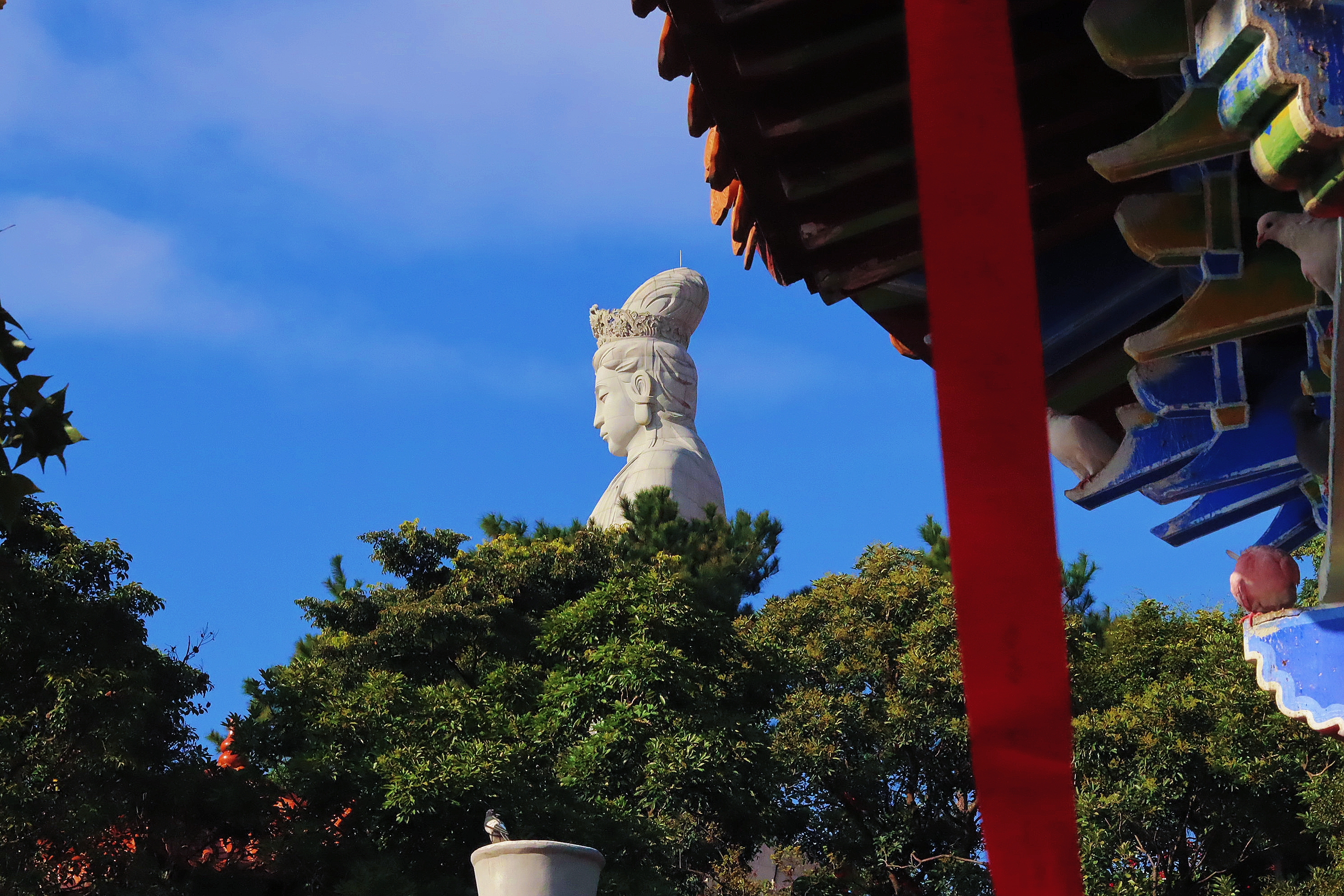 「姻缘圣地」东莞观音山,为何悬赏108万,只为是为"山"圆梦?