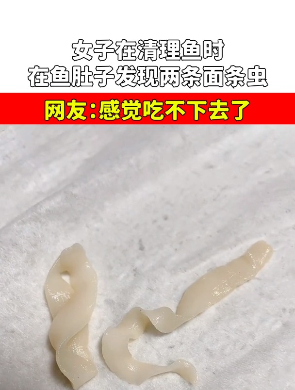 女子在清理鱼时,在鱼肚子发现两条面条虫,网友:感觉吃不下去了-度小视