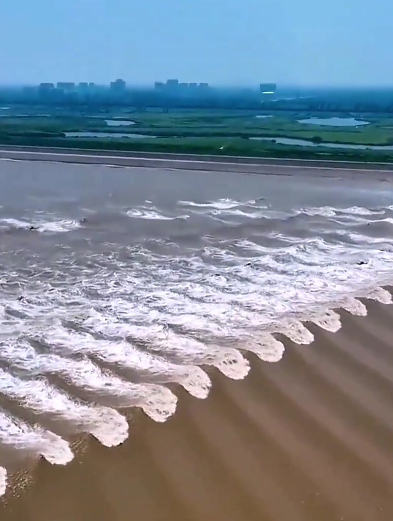 钱塘江现罕见鱼鳞潮,场面甚是壮观!网友:大自然真的很奇妙!-度小视