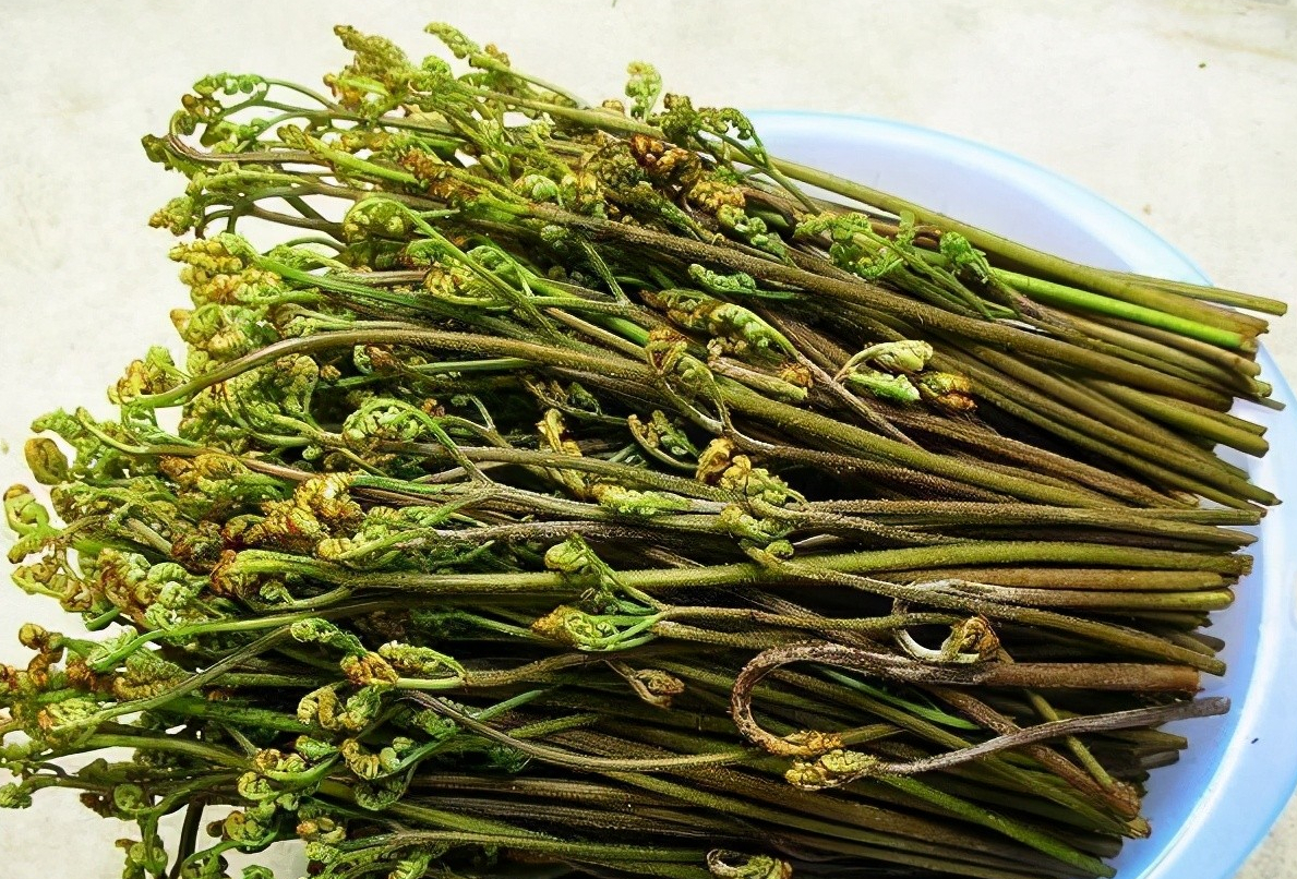 盘点东北人挚爱的野菜!不知道你吃过几种?现在买真不