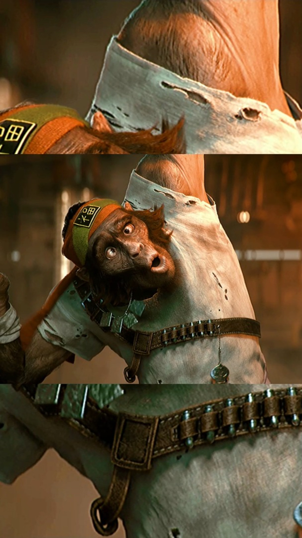 超越善恶2游戏cg